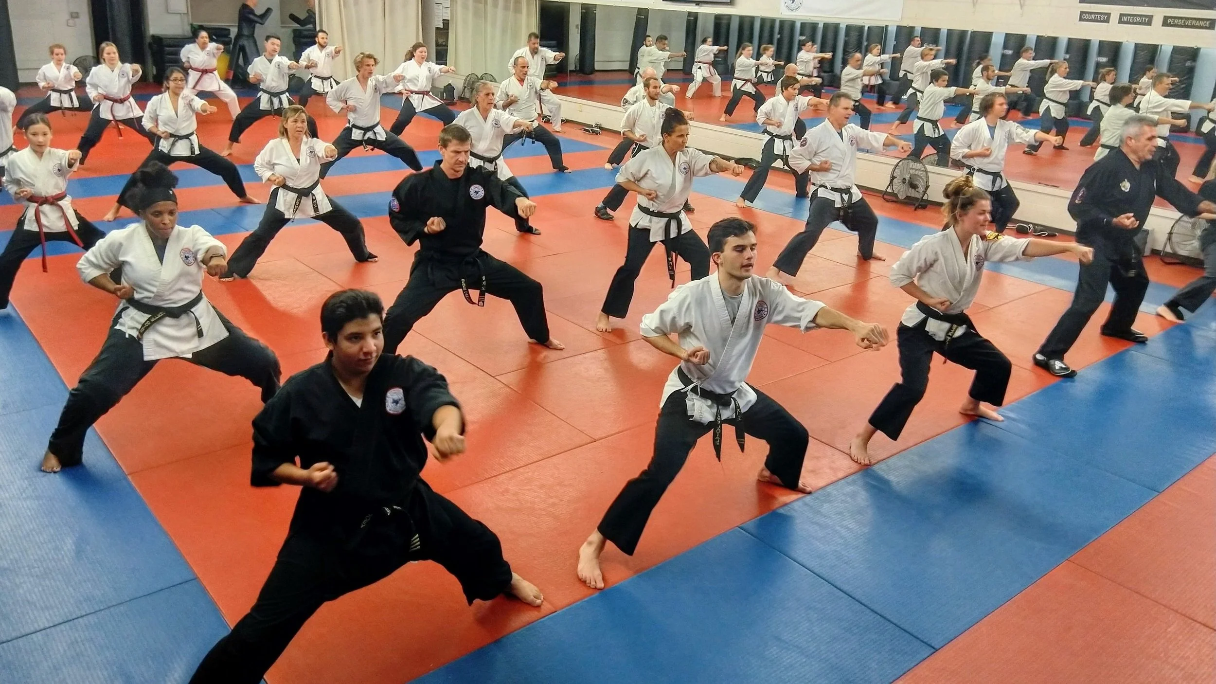 Hapkido
