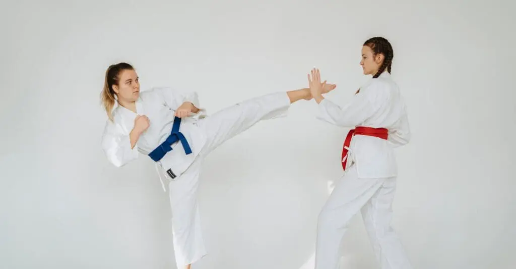 Taekwondo